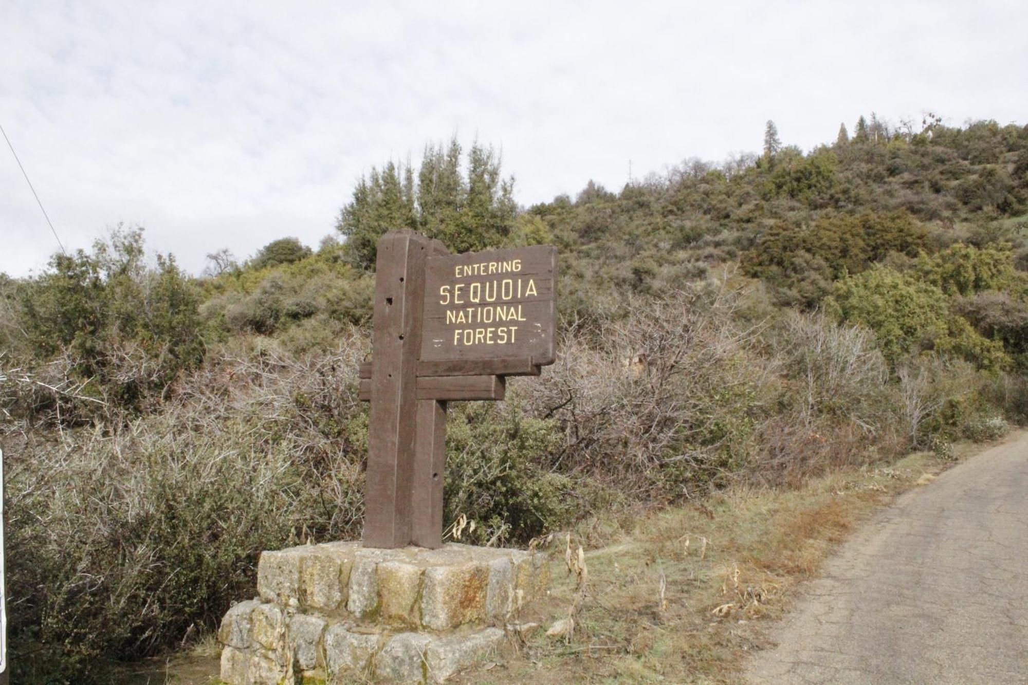Hummingbird Hill - Entire Cabin Dunlap Luaran gambar